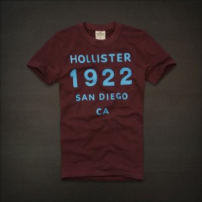 Hollister Men Shirts-344